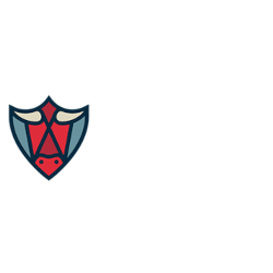 BetBull